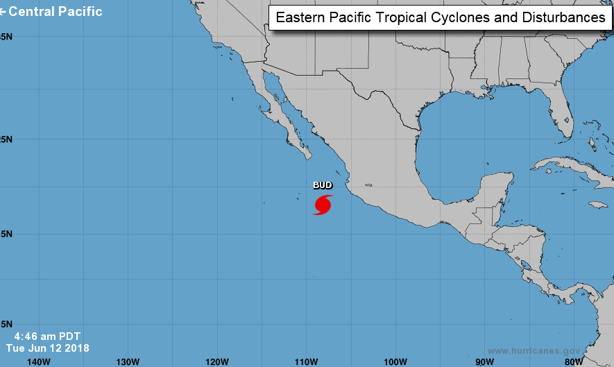 Hurricane BUD Category 4 - Stormcatcher