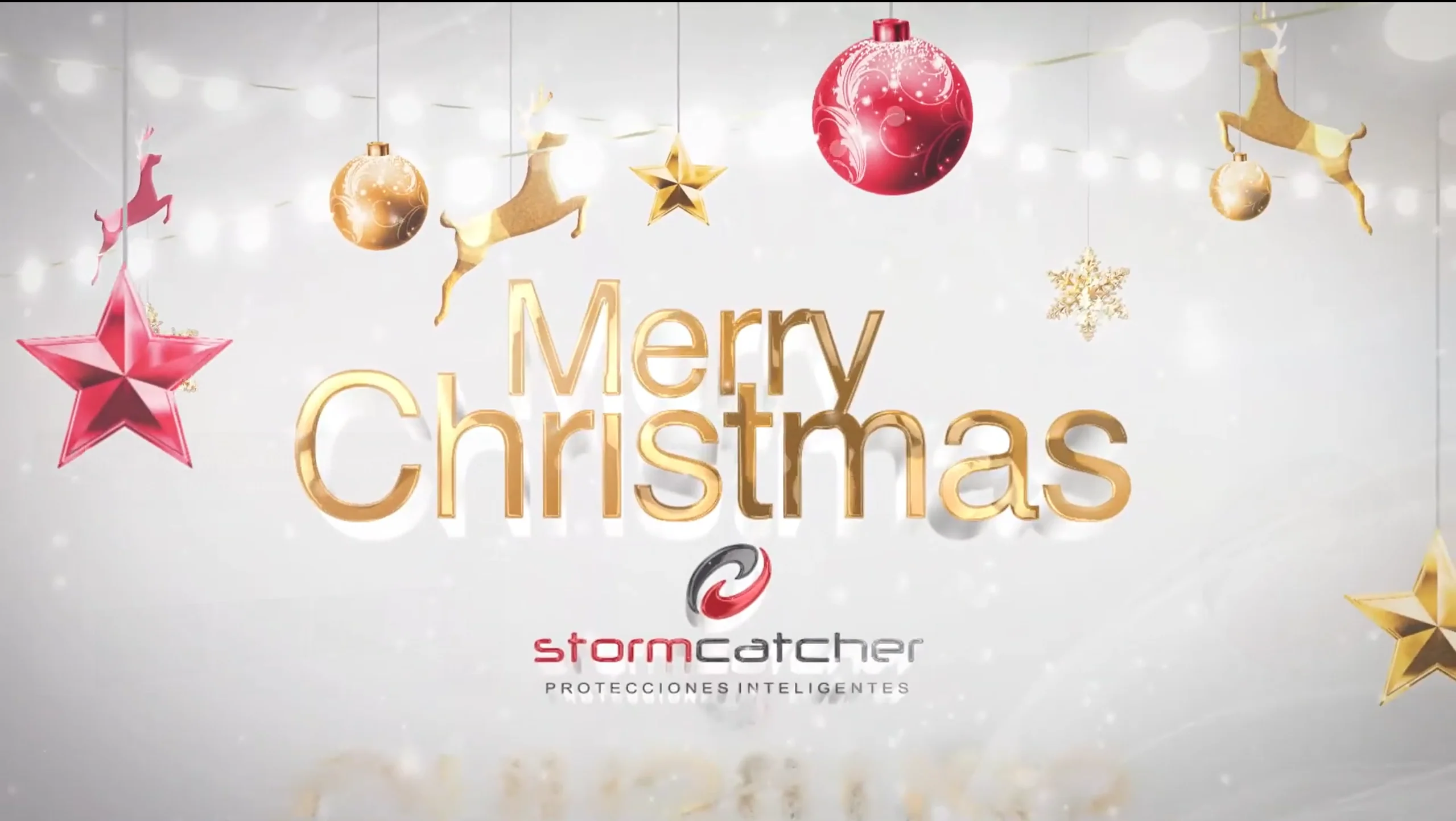 Happy Holidays 2020 - Stormcatcher