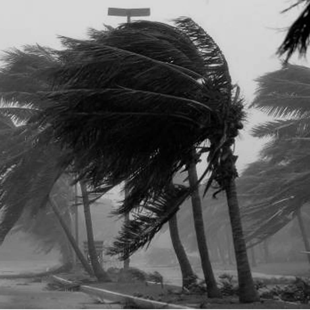 El Niño Disappears, Cyclonic Activity Expected to Rise